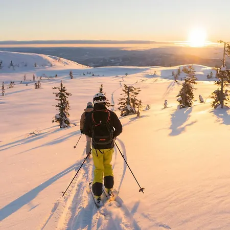 Vakantiehuis Norefjell With Sauna And Whirlpool Noresund